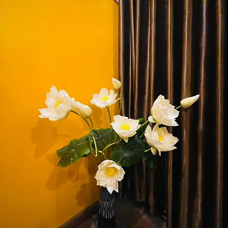 Il Divo Hostel & Spa 61 Bat Su Hanoi Exterior photo